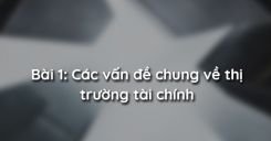 Bài 1: Các vấn đề chung về thị trường tài chính