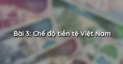 Bài 3: Chế độ tiền tệ Việt Nam
