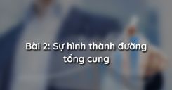 Bài 2: Sự hình thành đường tổng cung