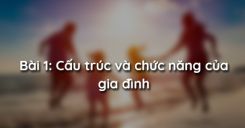 Bài 1: Cấu trúc và chức năng của gia đình