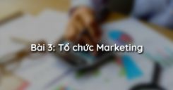 Bài 3: Tổ chức Marketing