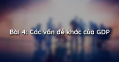 Bài 4: Các vấn đề khác của GDP