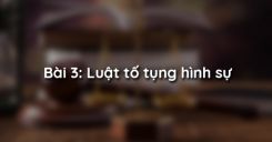 Bài 3: Luật tố tụng hình sự