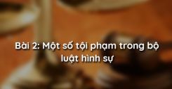 Bài 2: Một số tội phạm trong bộ luật hình sự