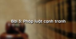 Bài 3: Pháp luật cạnh tranh