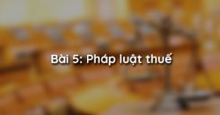 Bài 5: Pháp luật thuế