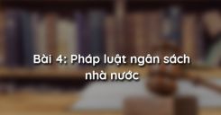 Bài 4: Pháp luật ngân sách nhà nước