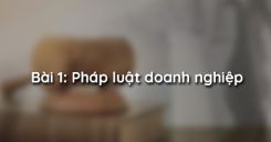 Bài 1: Pháp luật doanh nghiệp