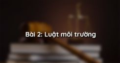 Bài 2: Luật môi trường