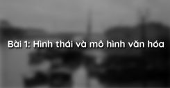 Bài 1: Hình thái và mô hình văn hóa