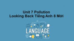 Unit 7: Pollution - Looking Back