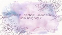 Chính tả Tập chép: Bím tóc đuôi sam