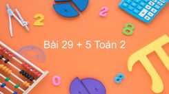 29 + 5