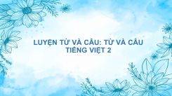 Luyện từ và câu: Từ và câu