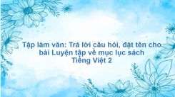 Tập làm văn: Trả lời câu hỏi, đặt tên cho bài Luyện tập về mục lục sách