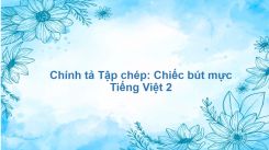 Chính tả Tập chép: Chiếc bút mực