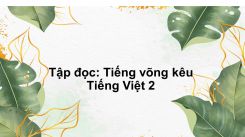 Tập đọc: Tiếng võng kêu