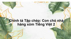 Chính tả Tập chép: Con chó nhà hàng xóm