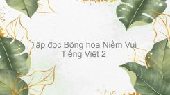 Tập đọc Bông hoa Niềm Vui