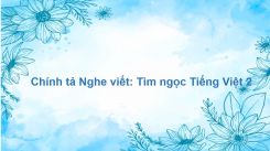Chính tả Nghe viết: Tìm ngọc