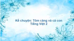 Kể chuyện: Tôm càng và cá con