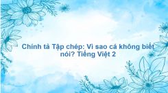 Chính tả Tập chép: Vì sao cá không biết nói?