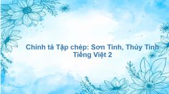 Chính tả Tập chép: Sơn Tinh, Thủy Tinh
