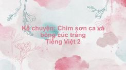 Kể chuyện: Chim sơn ca và bông cúc trắng
