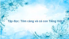 Tập đọc: Tôm càng và cá con