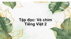 Tập đọc: Vè chim