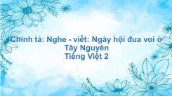 Chính tả: Nghe - viết: Ngày hội đua voi ở Tây Nguyên