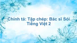 Chính tả: Tập chép: Bác sĩ Sói
