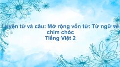 Luyện từ và câu: Mở rộng vốn từ: Từ ngữ về chim chóc