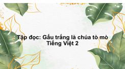 Tập đọc: Gấu trắng là chúa tò mò