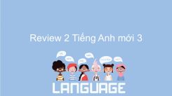 Review 2