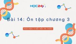 Bài 14: Ôn tập chương 3