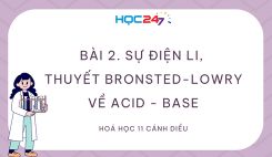 Bài 2: Sự điện li, thuyết Bronsted - Lowry về acid - base