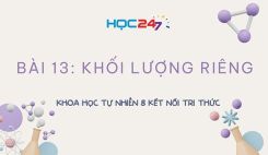 Bài 13: Khối lượng riêng