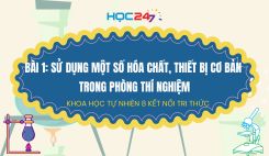 Bài 1: Sử dụng một số hóa chất, thiết bị cơ bản trong phòng thí nghiệm