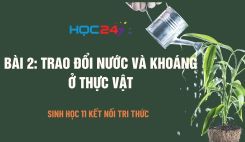 Bài 2: Trao đổi nước và khoáng ở thực vật