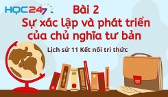 Bài 2: Sự xác lập và phát triển của chủ nghĩa tư bản