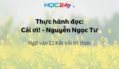Thực hành đọc: Cải ơi! - Nguyễn Ngọc Tư