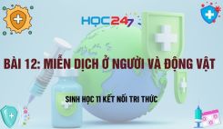 Bài 12: Miễn dịch ở người và động vật