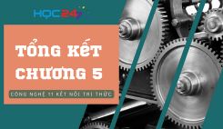 Tổng kết Chương 5