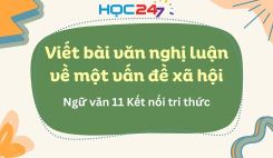 Viết bài văn nghị luận về một vấn đề xã hội