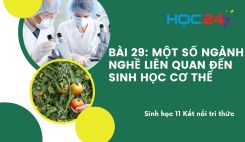 Bài 29: Một số ngành nghề liên quan đến sinh học cơ thể