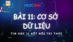 Bài 11: Cơ sở dữ liệu