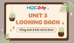 Unit 3 - Looking back