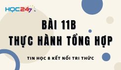 Bài 11b. Thực hành tổng hợp