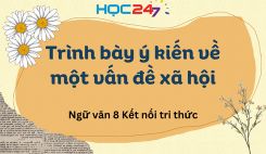 Trình bày ý kiến về một vấn đề xã hội